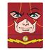 SQR-010001-240-011-00 Squaroes - Squaroe DC Justice League™ 004 - The Flash™