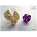 20377 Set di Dadi Mini Trasparenti Purple/white