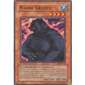 Madre Grizzly