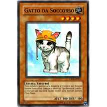 Gatto da Soccorso