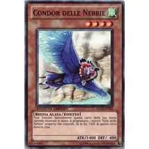 Condor delle Nebbie