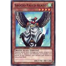 Saggio Falco Alato