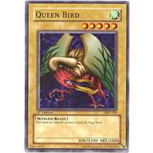 Queen Bird