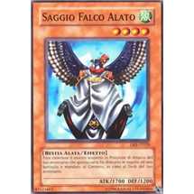 Saggio Falco Alato