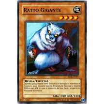 Ratto Gigante