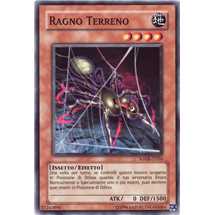 Ragno Terreno