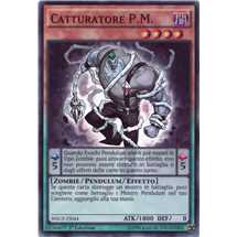 Catturatore P.M.